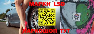 прущие грибы Абакан