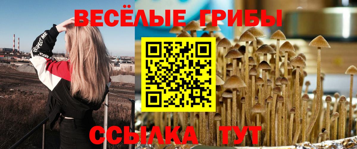 Псилоцибиновые грибы Psilocybe  Галлюциногенные грибы Psilocybine cubensis  Вход с VPN  Россия 